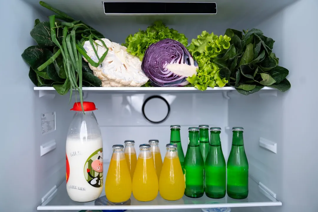common-side-by-side-refrigerator-problems-solutions-with-maharan-warranty