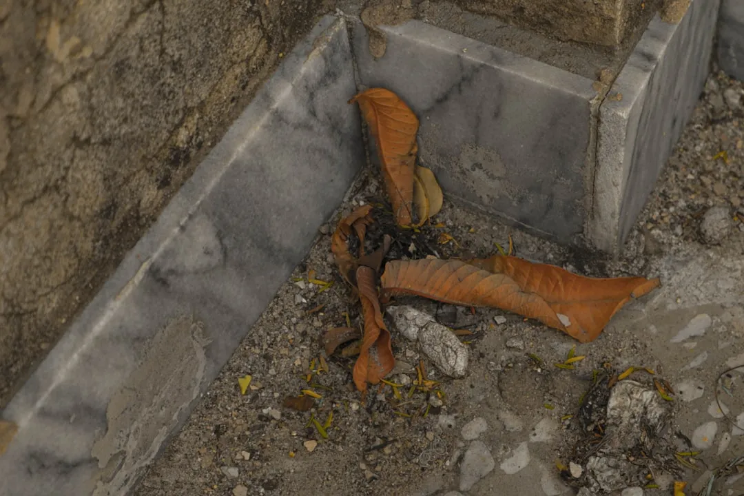 automatic-drain-pump-repair-diy-troubleshooting-and-fixes
