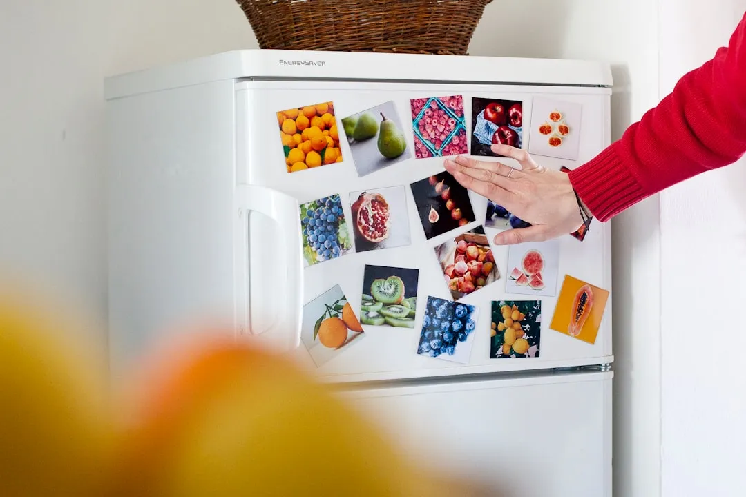 refrigerator-repair-costs-and-troubleshooting