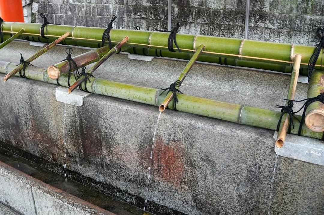 automatic-drain-pump-repair-diy-troubleshooting-and-fixes
