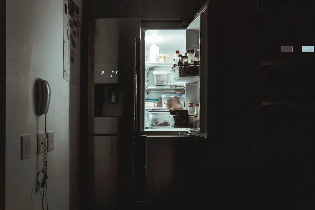 refrigerator-freezer-gas-leak-repair-and-refrigerant-charging-maharan-professional-services