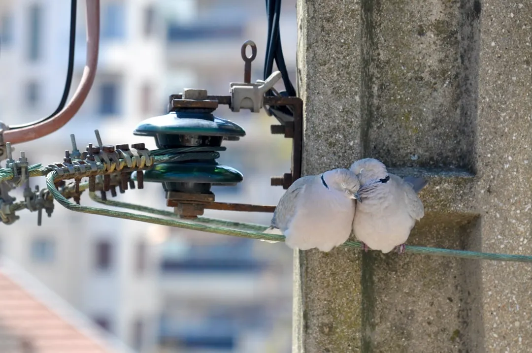 fixing-inverter-compressor-roaring-noise