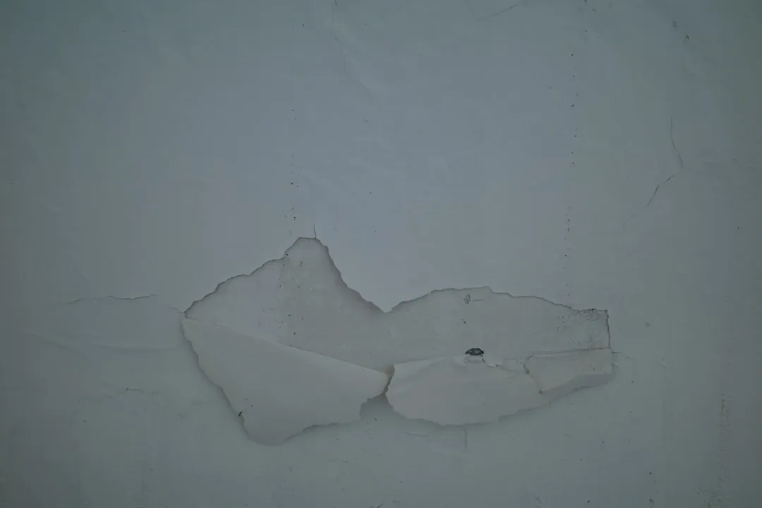 repairing-the-ice-maker-full-sensor-symptoms-causes-and-definitive-solution